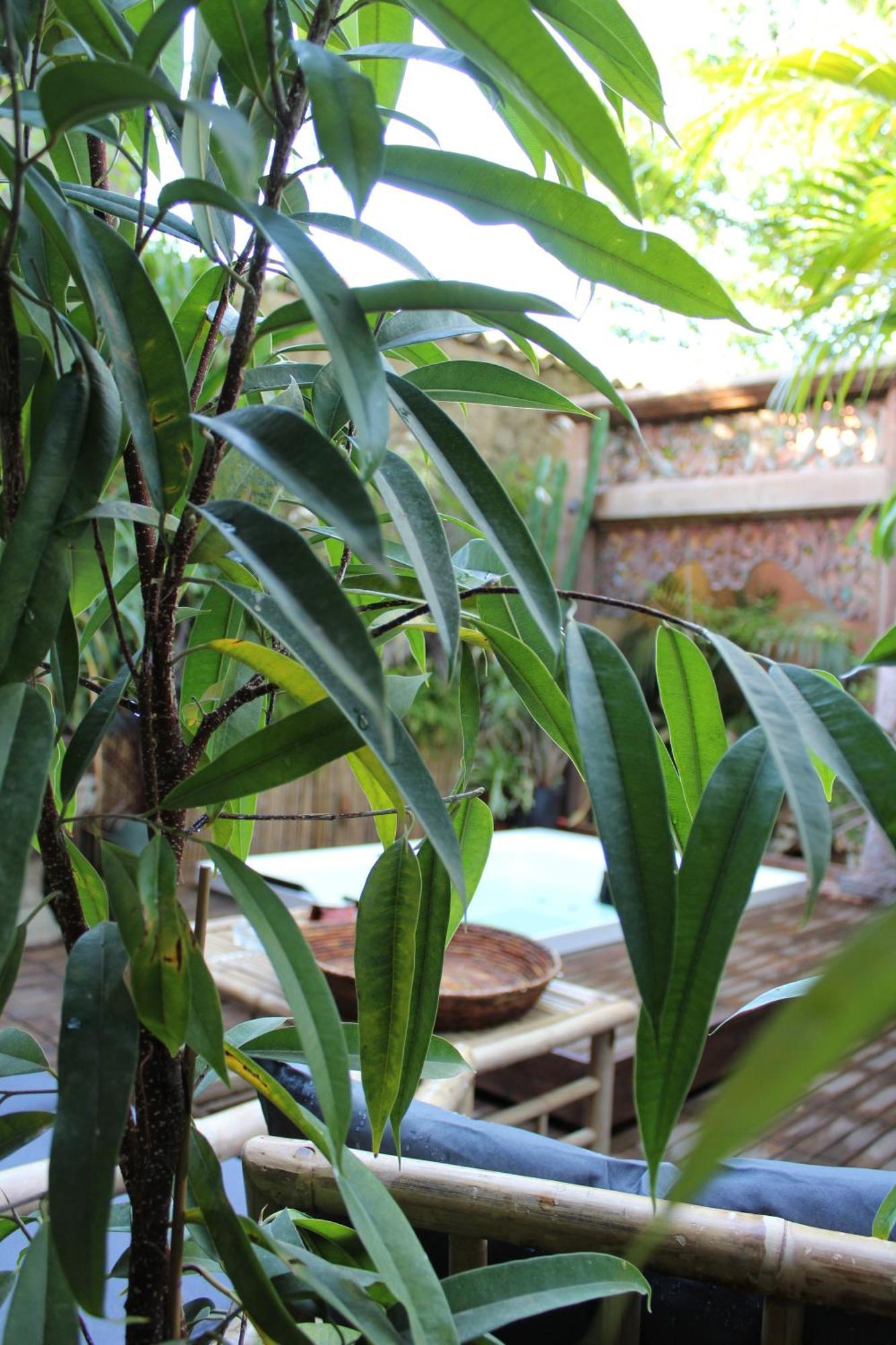 오리스타노 Il Giardino Di Chiara B&B 외부 사진